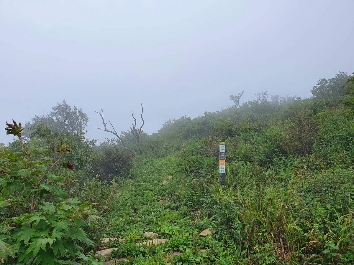 은대봉 가는 길