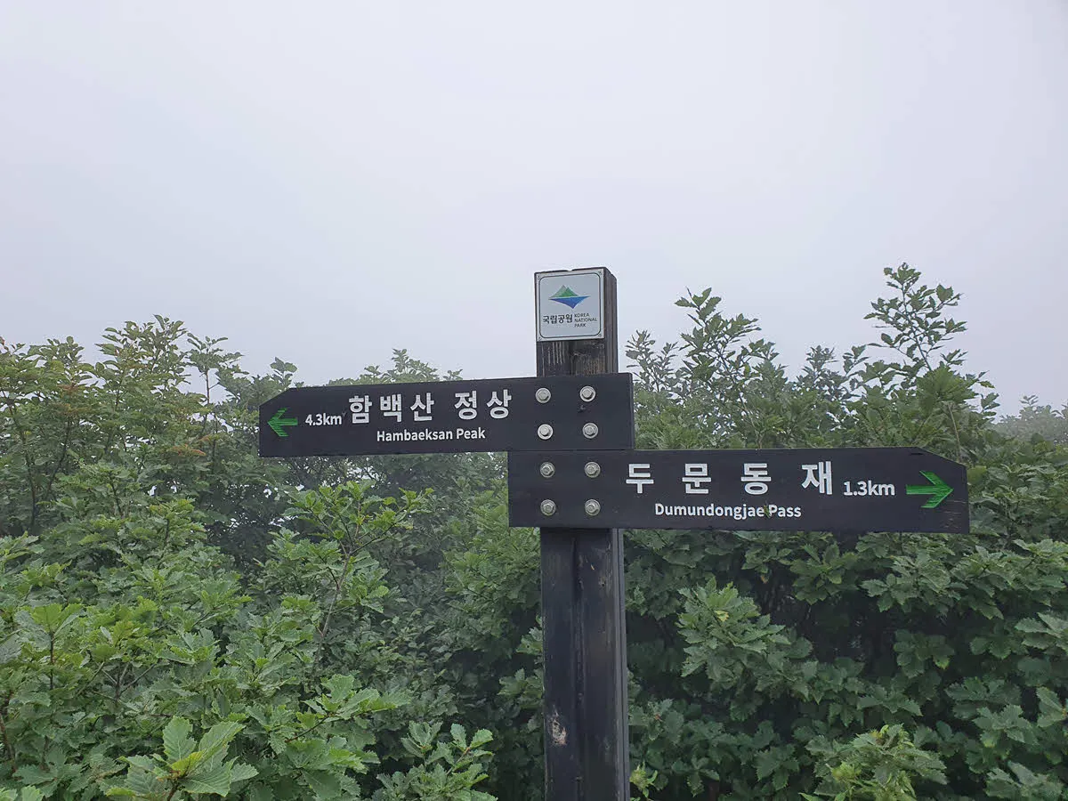 은대봉에서 함백산, 두문동재 이정