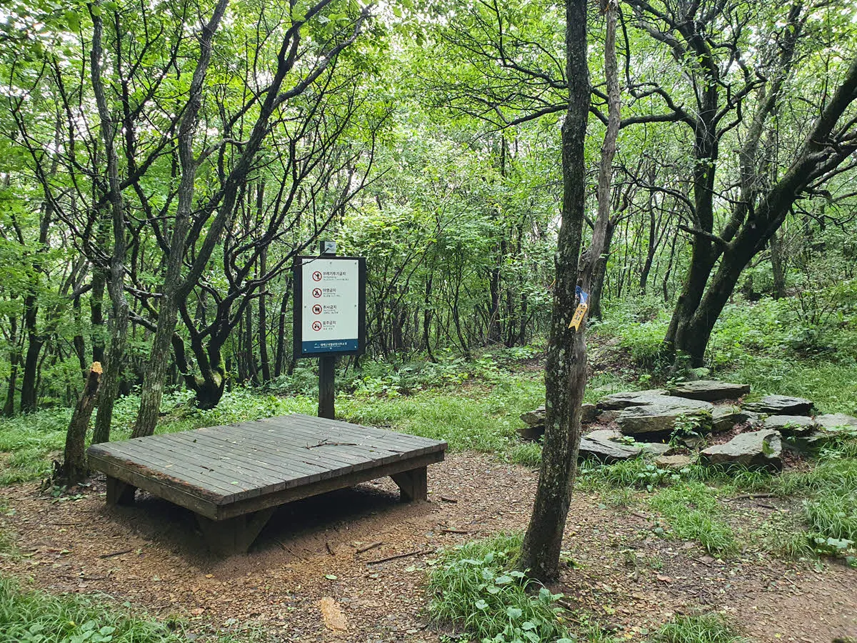 오투리조트에서 올라오는 등산로와 만난다