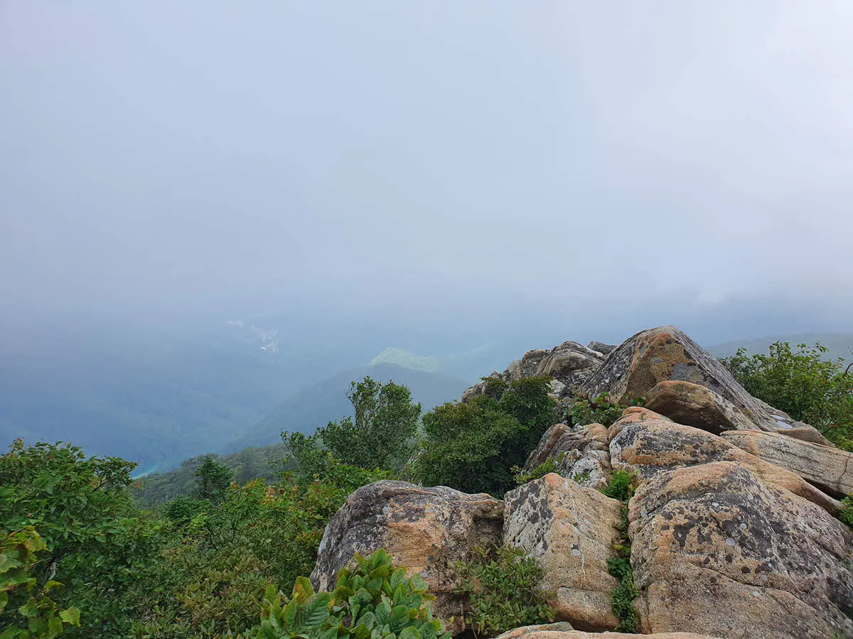 중함백 오르는 길