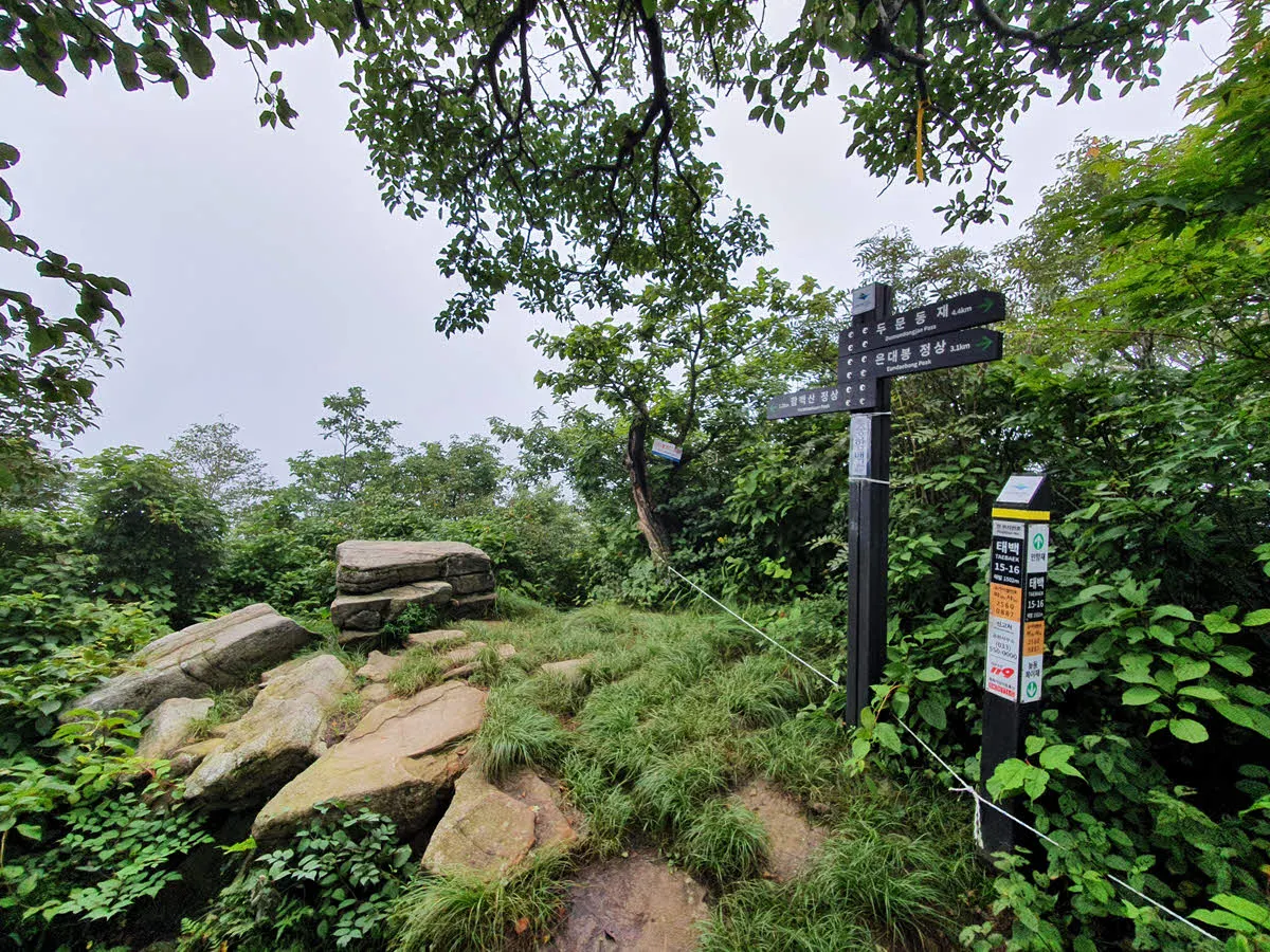 중함백산 정상 모습