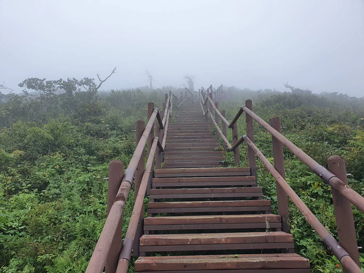 중함백에서 함백산 정상 가는 길