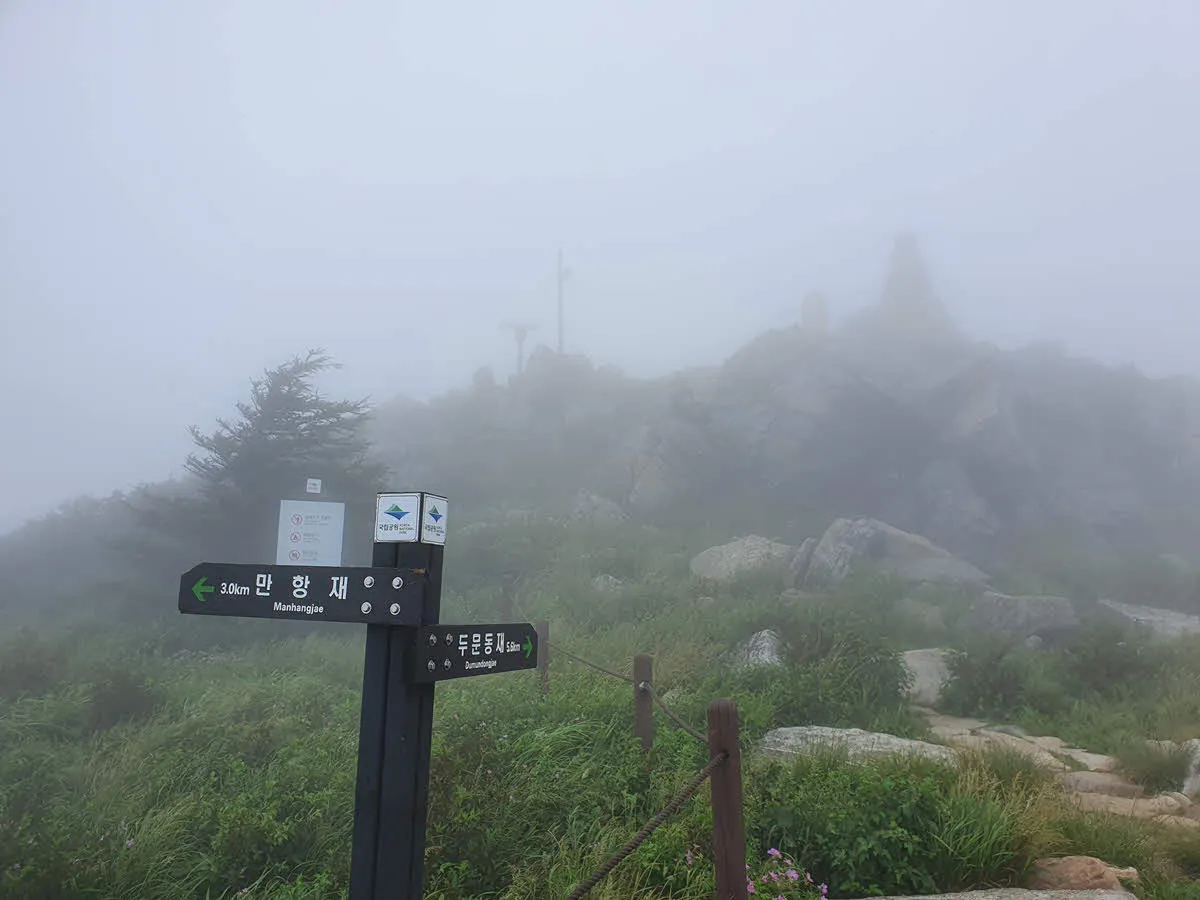 함백산 정상에서 만항재 가는 길