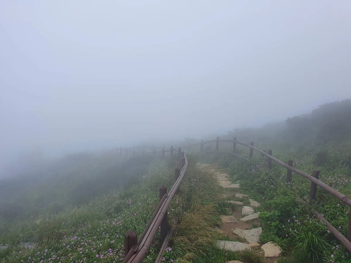 비구름에 덮힌 함백산 정상부