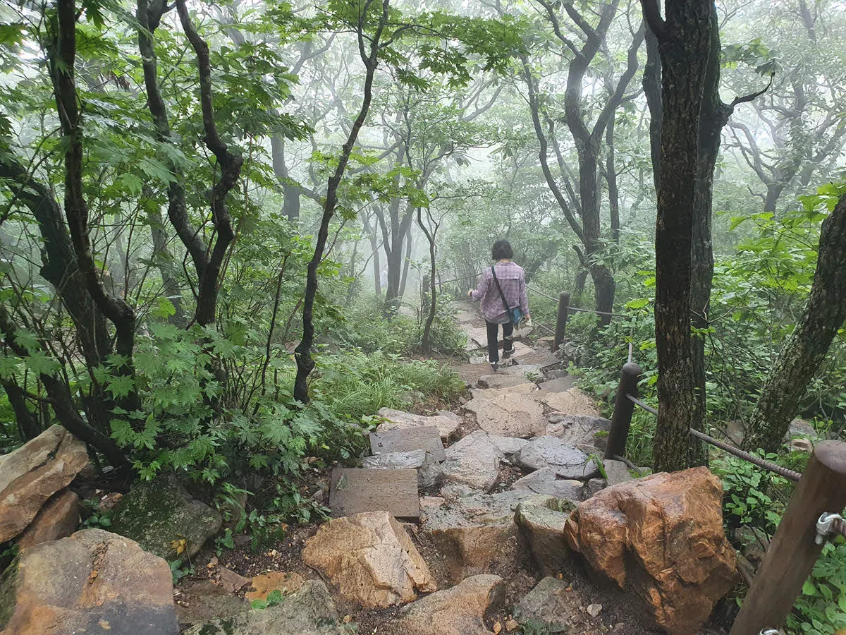 비내리는 함백산 하산길