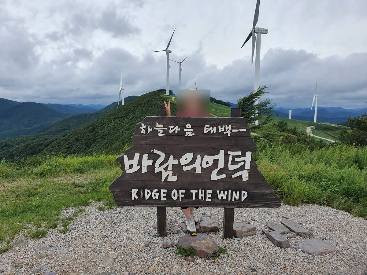 매봉산 바람의 언덕