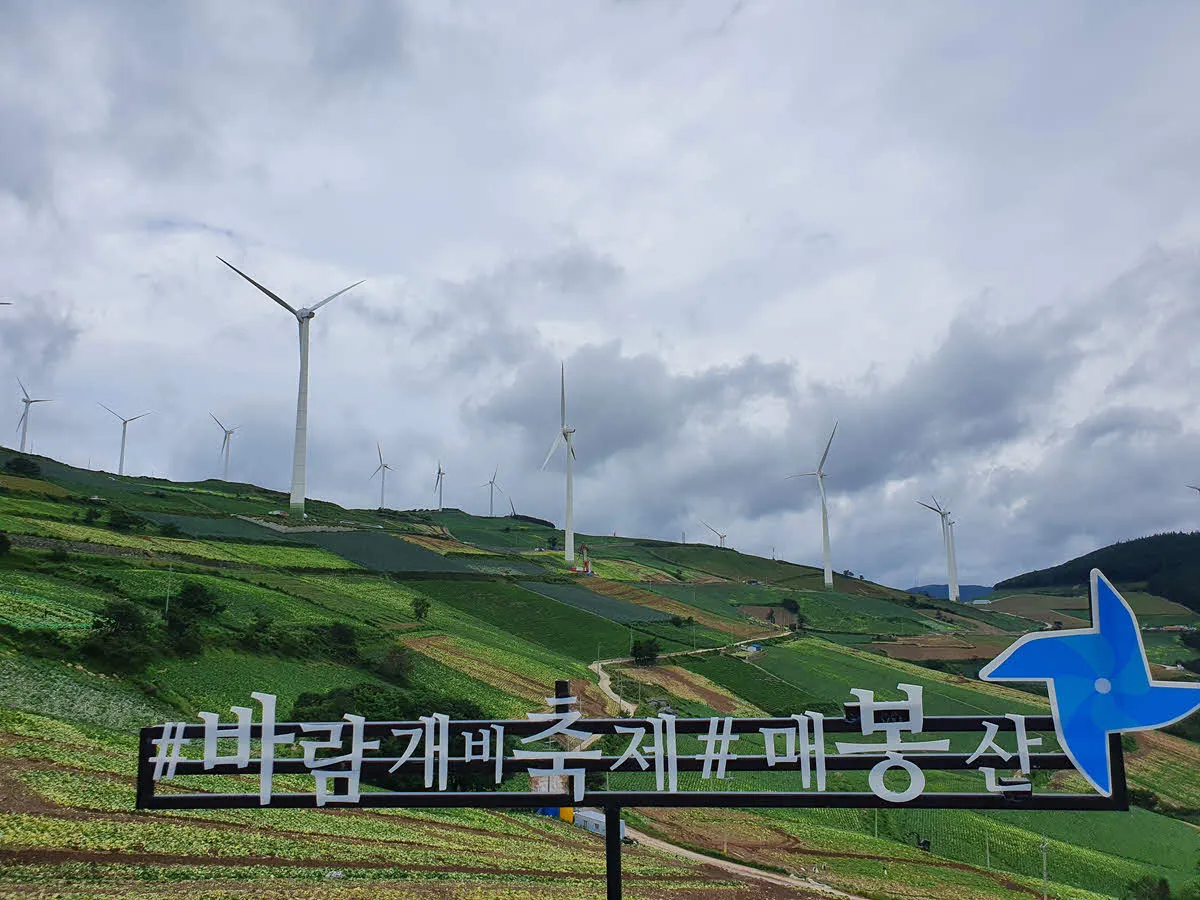 전망대에서 바라본 매봉산 바람의 언덕