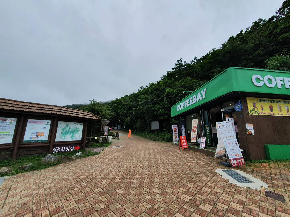 성삼재에서 노고단 가는 길