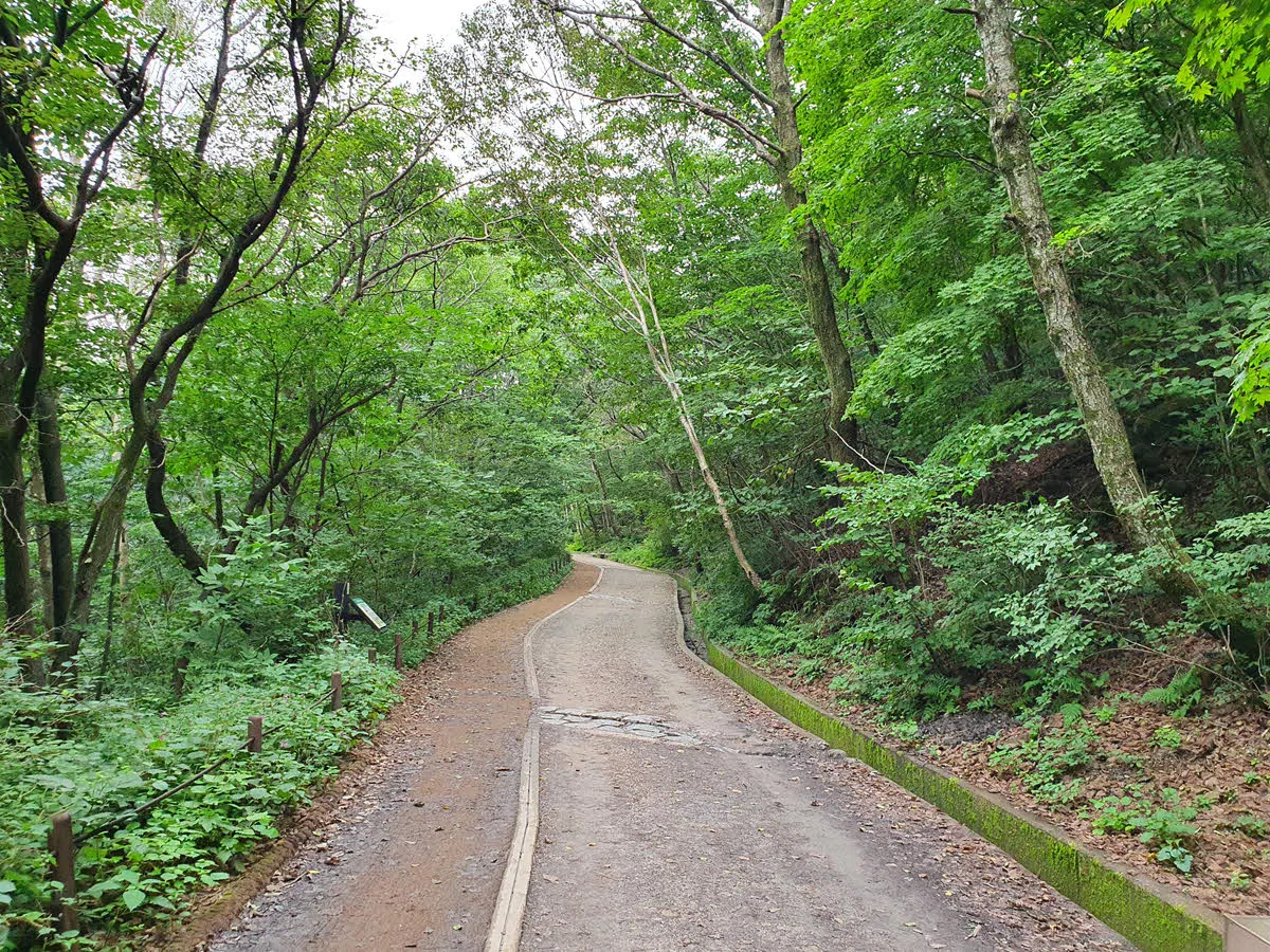 성삼재에서 노고단 오르는 길