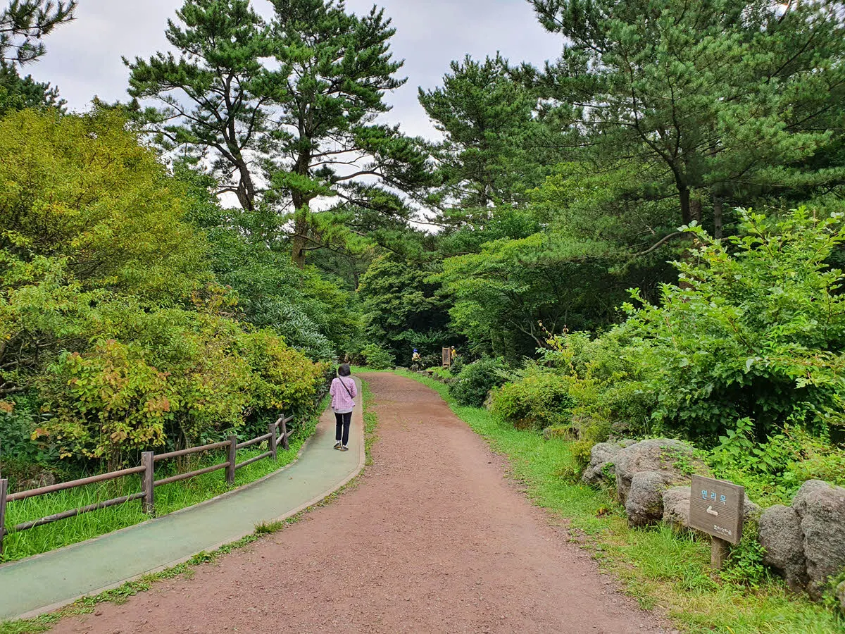 한라생태숲 탐방로