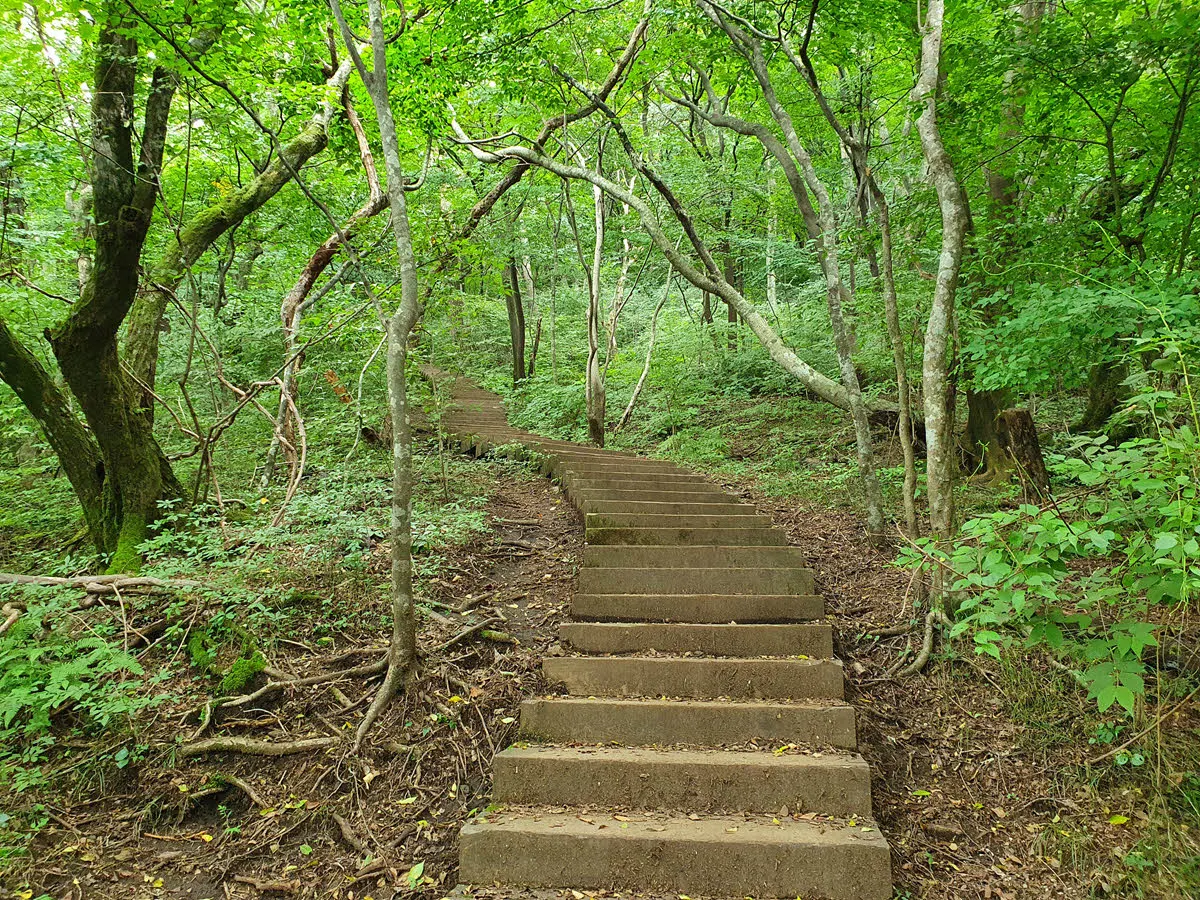처음이자 마지막 계단지옥