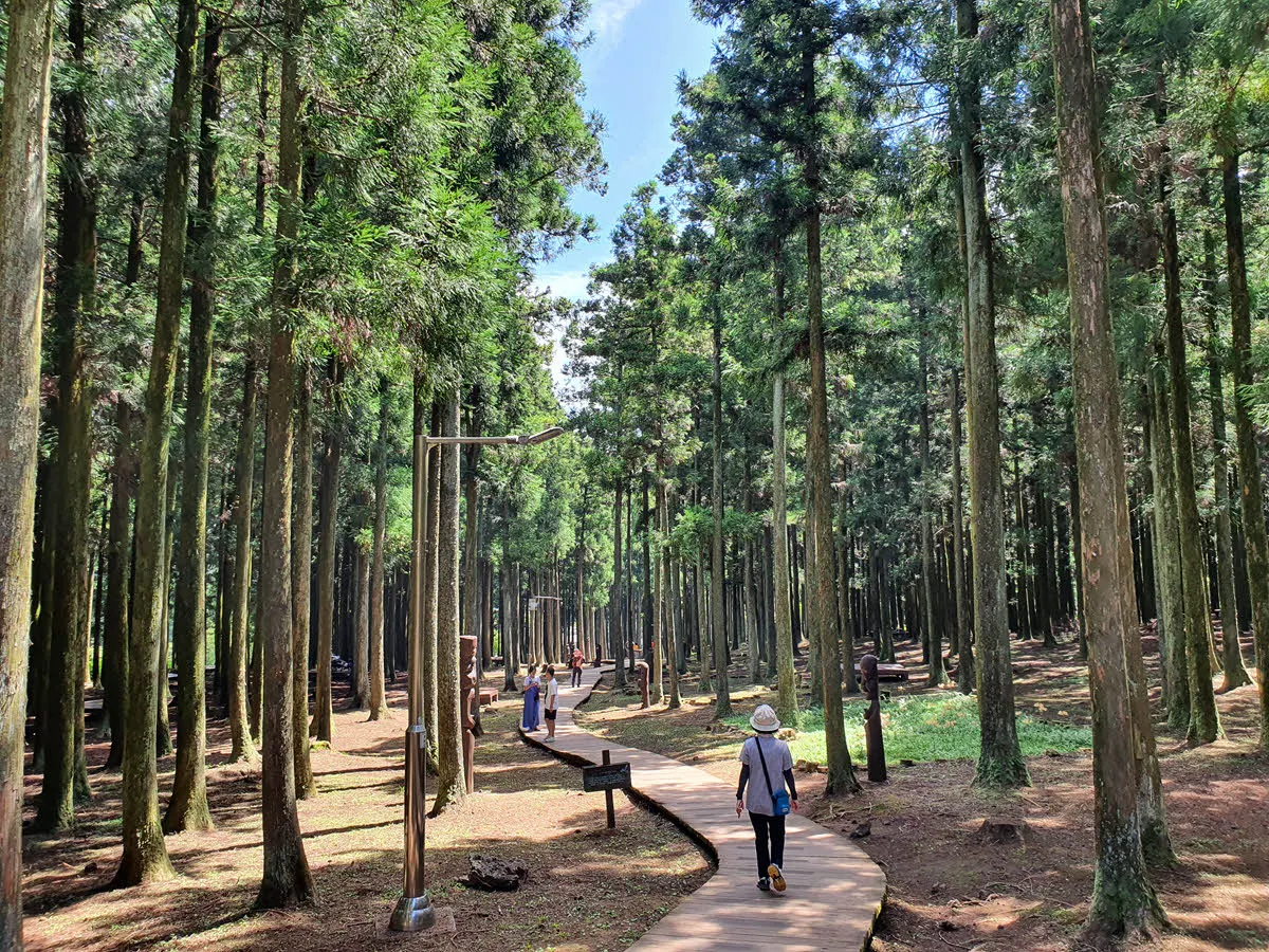 절물자연휴양림 데크길