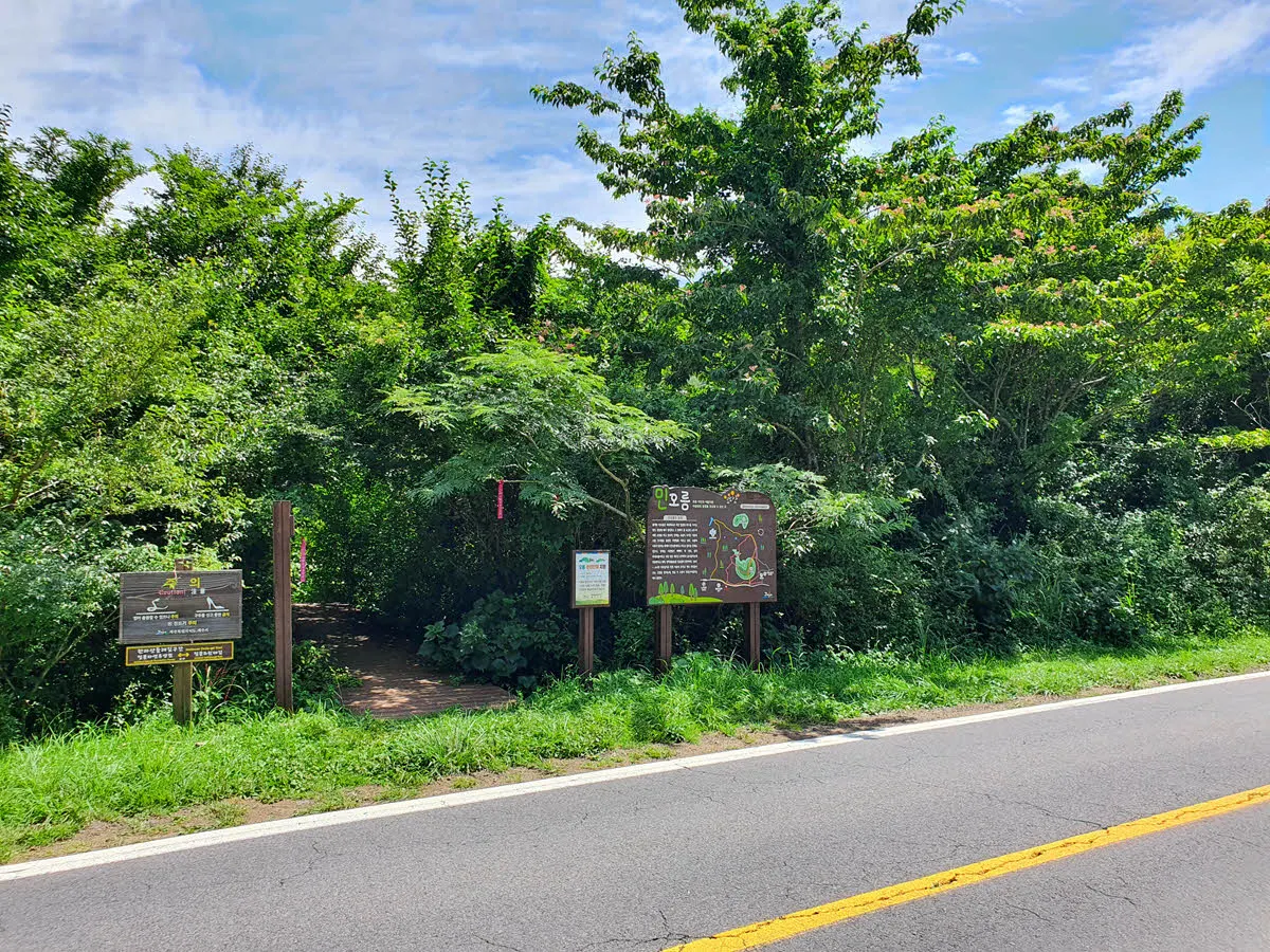한라산 둘레길 8코스 - 절물조릿대길 입구