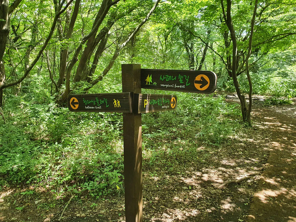 사려니숲길 주차장 갈림길