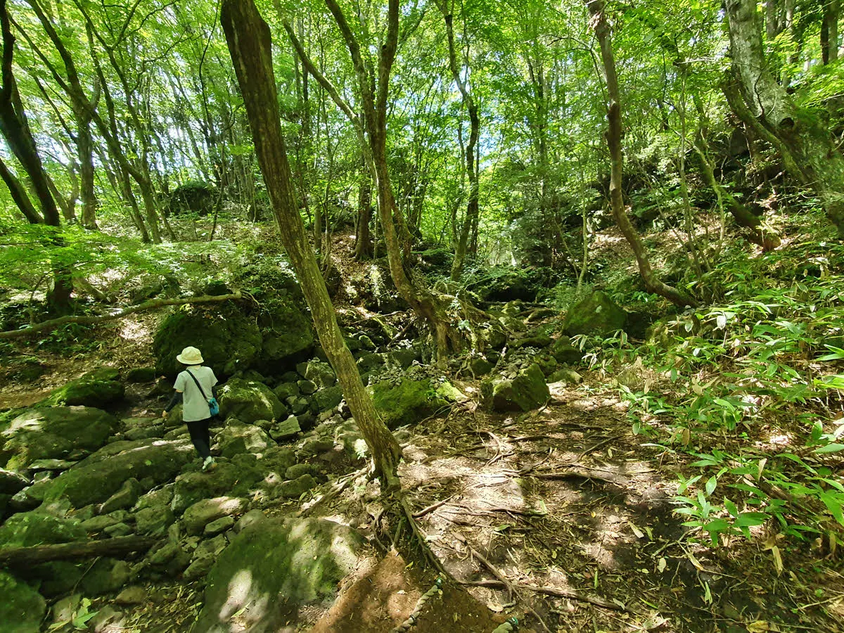 한라산 특유의 건천