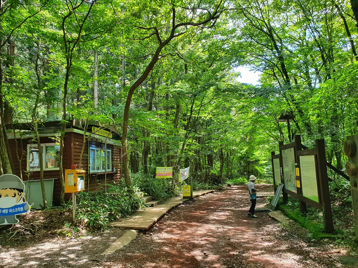 사려니숲길 입구