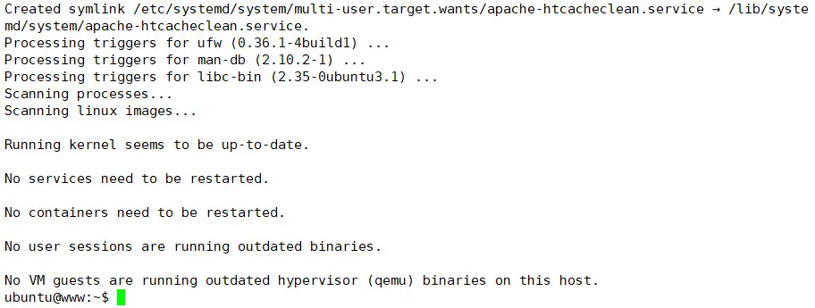 Apache 2와 관련 패키지 설치 완료