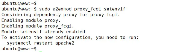 php-fpm의 proxy_fcgi 모듈 활성화