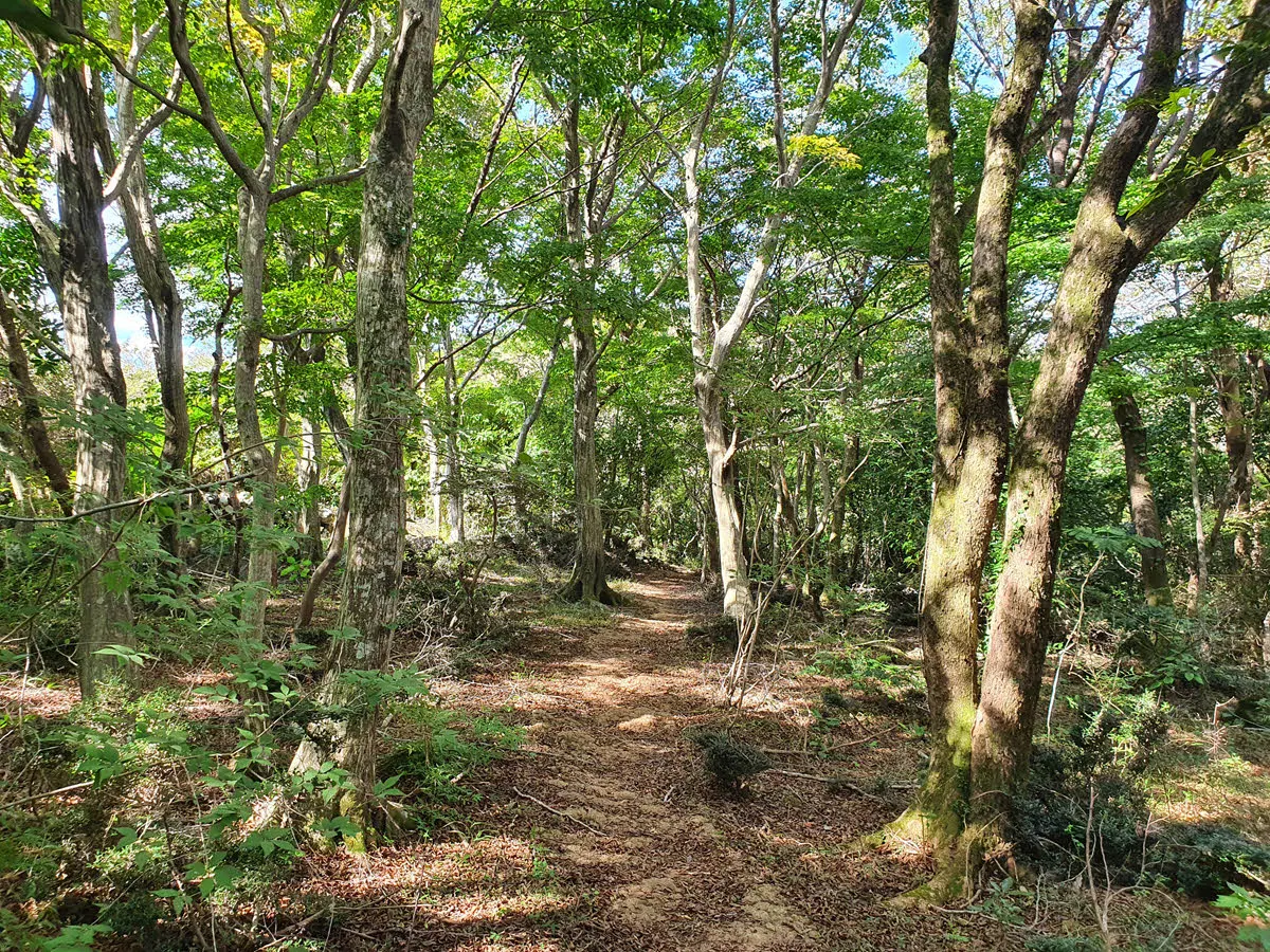 2구간 돌오름길 시작