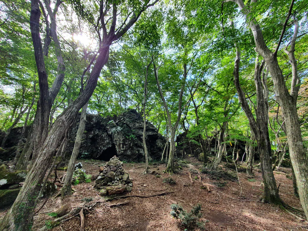 용의 지느러미 같은??