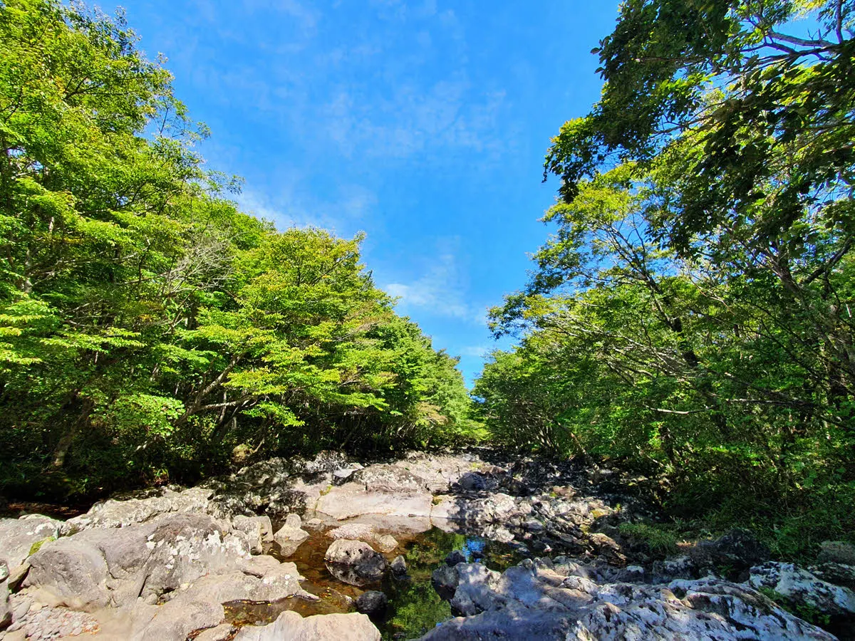 그나마 물이 있는 건천