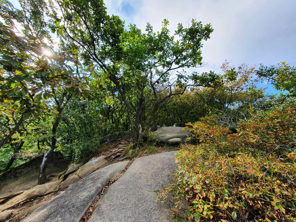 능선을 이루는 바위