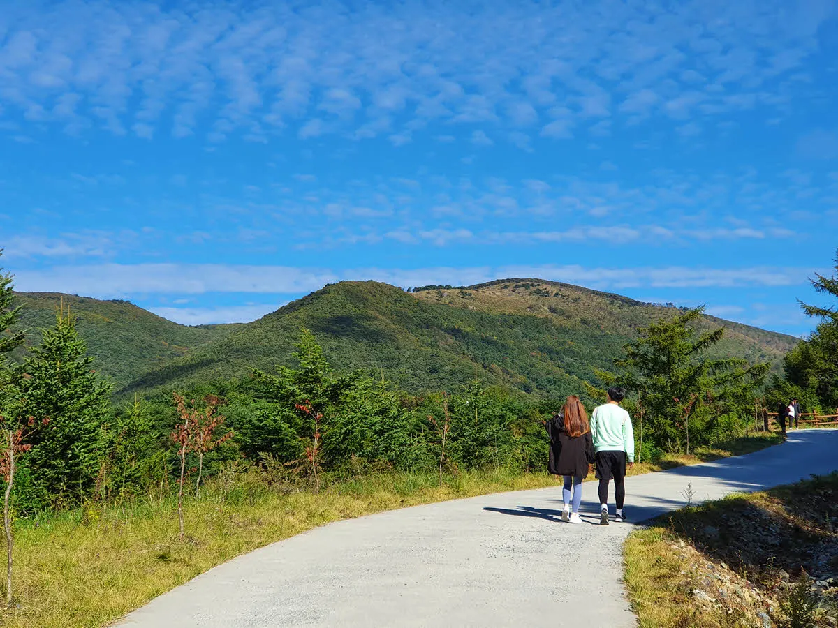 억새 군락지 까지 산책하듯 편안하게 걷는 길