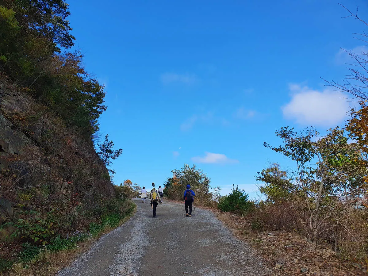 차마고도는 아닐까
