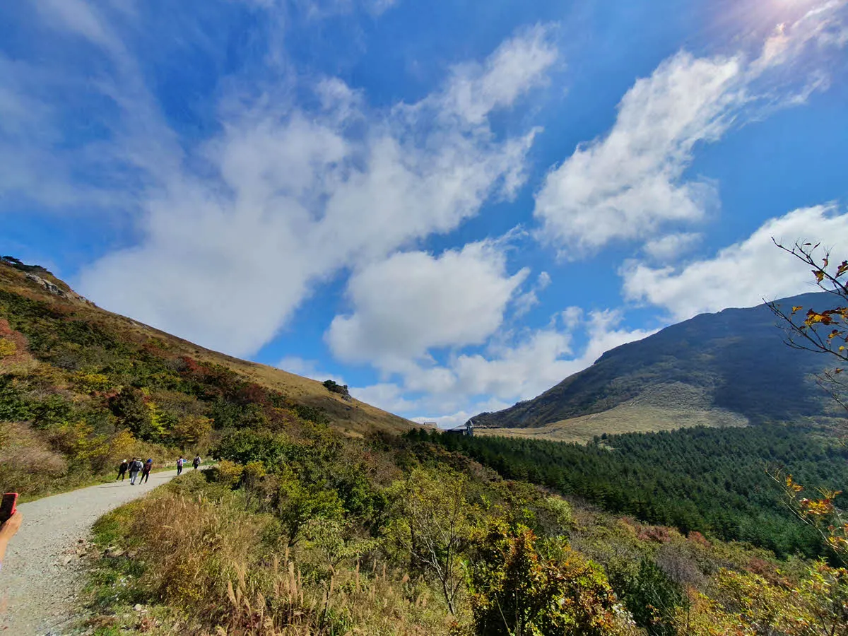 드디어 보이는 간월재 억새 군락지
