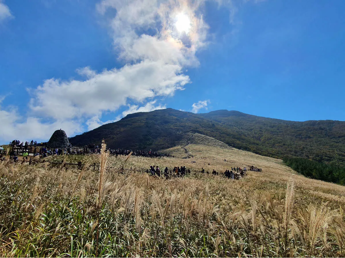 간월재 억새군락지 - 신불산 방면