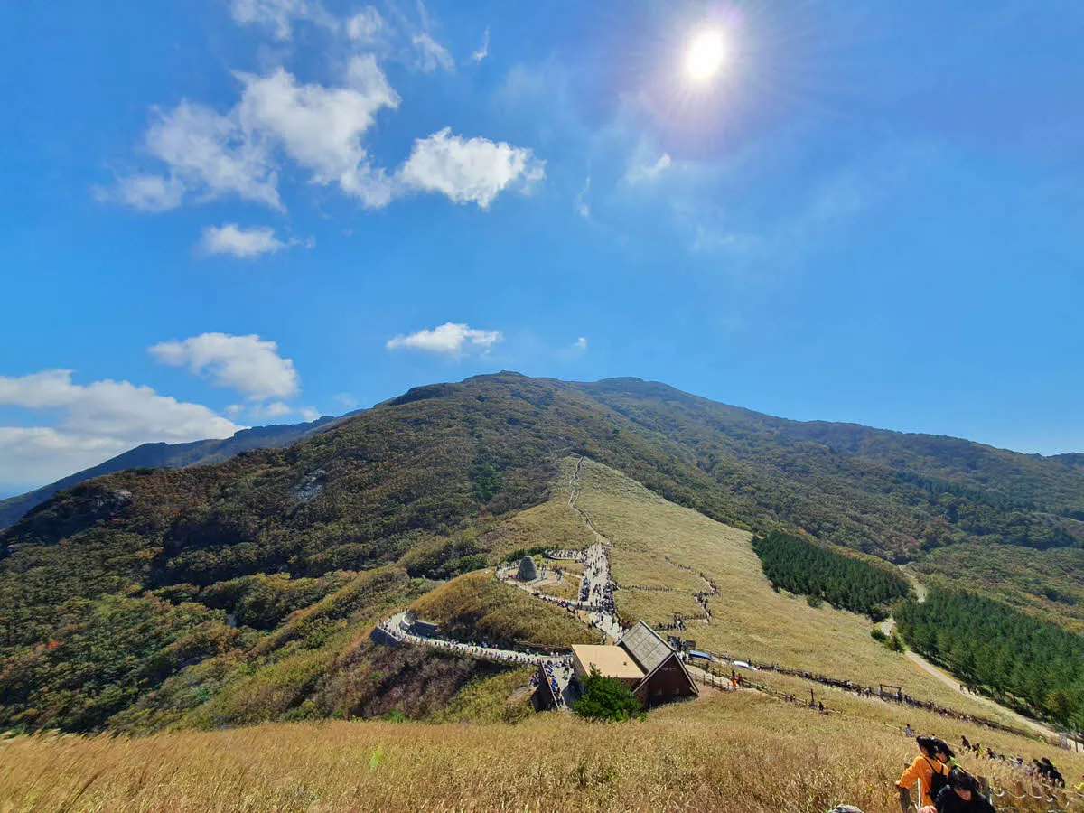 간월재 억새군락지의 억새와 청명한 하늘