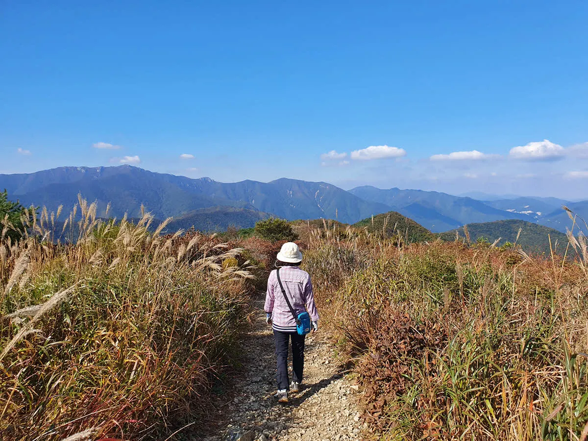배내재 방면으로 하산하는 길