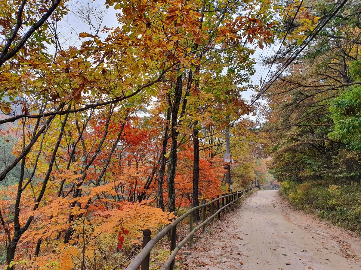 우이령길의 가을 단풍