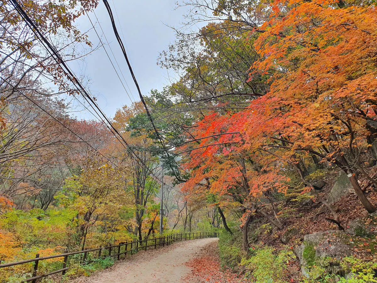 북한산 우이령길 단풍