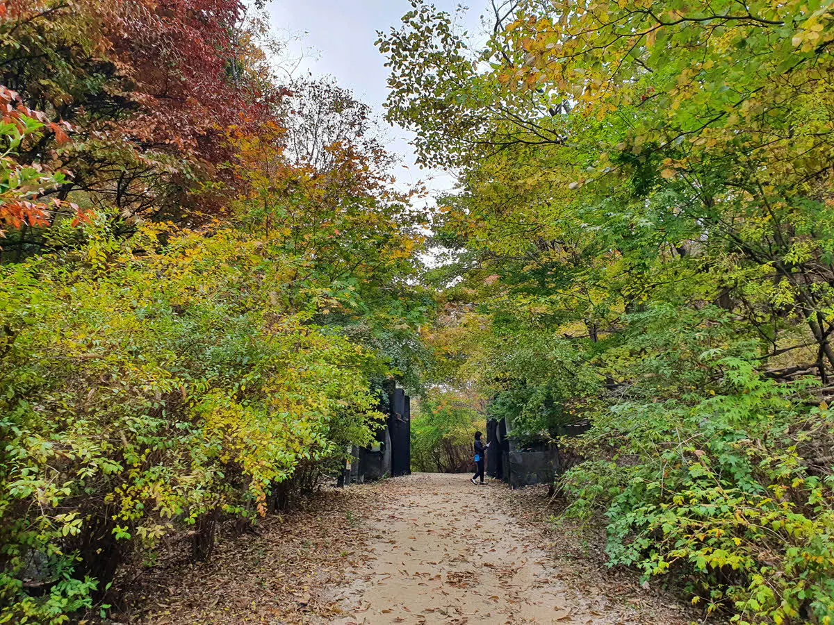 북한산 우이령길