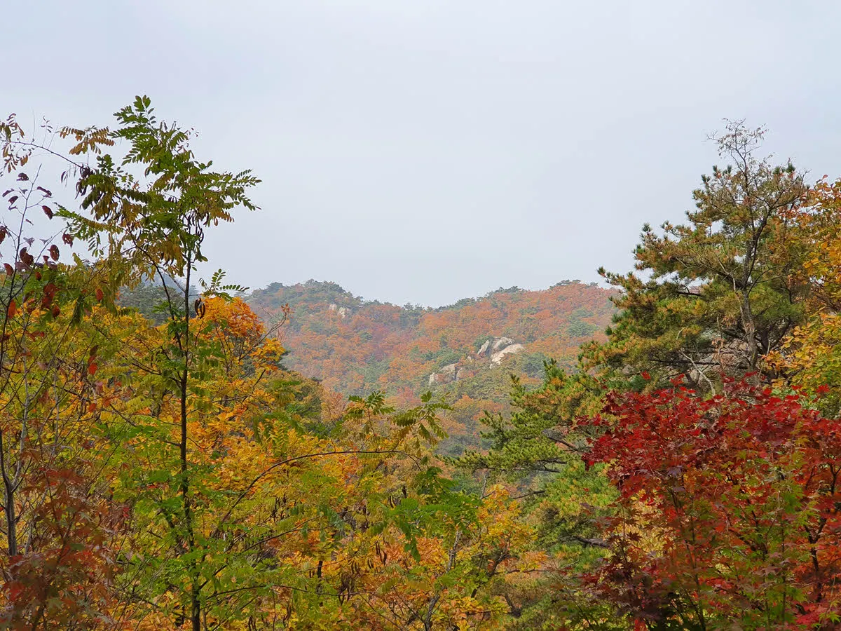 북한산 우이령의 단풍