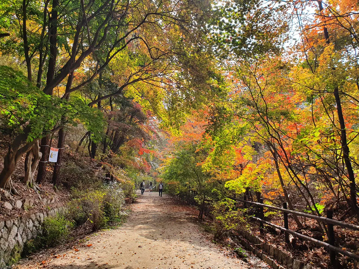 북한산 우이령의 단풍