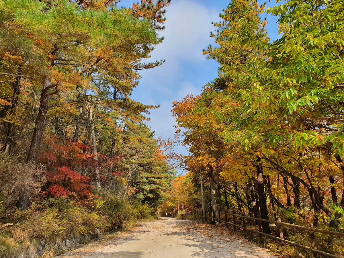 북한산 우이령 단풍