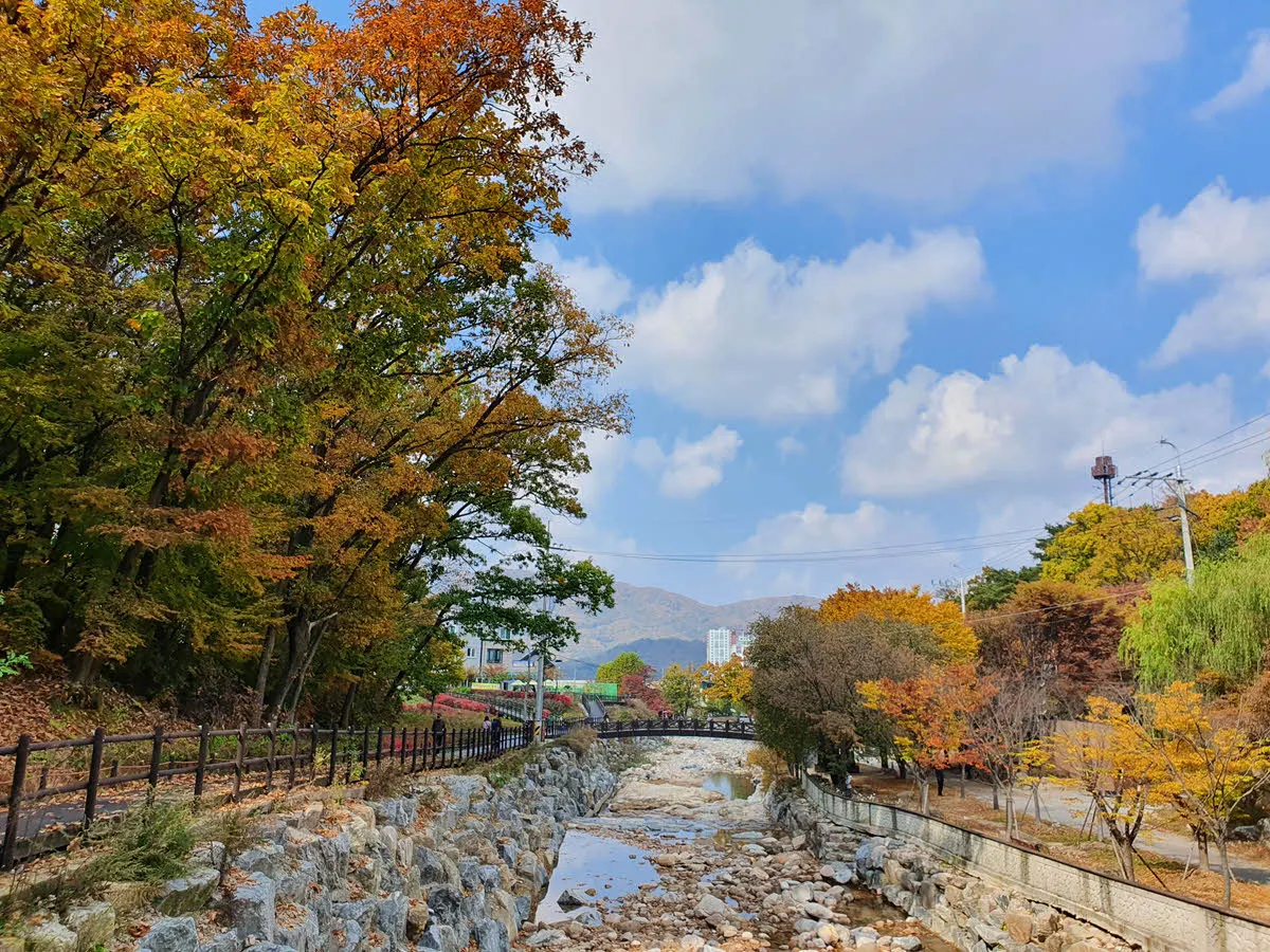 송추계곡의 단풍 (은행나무 단풍)