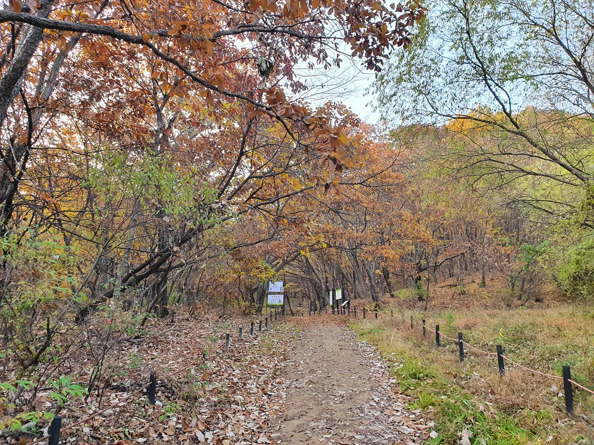 여성봉 가는 길