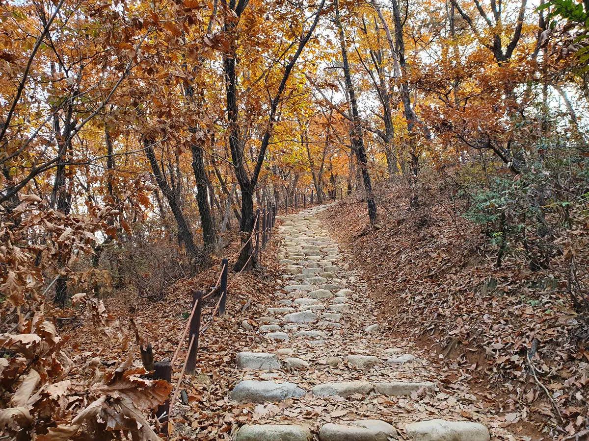 여성봉 가는 계단길