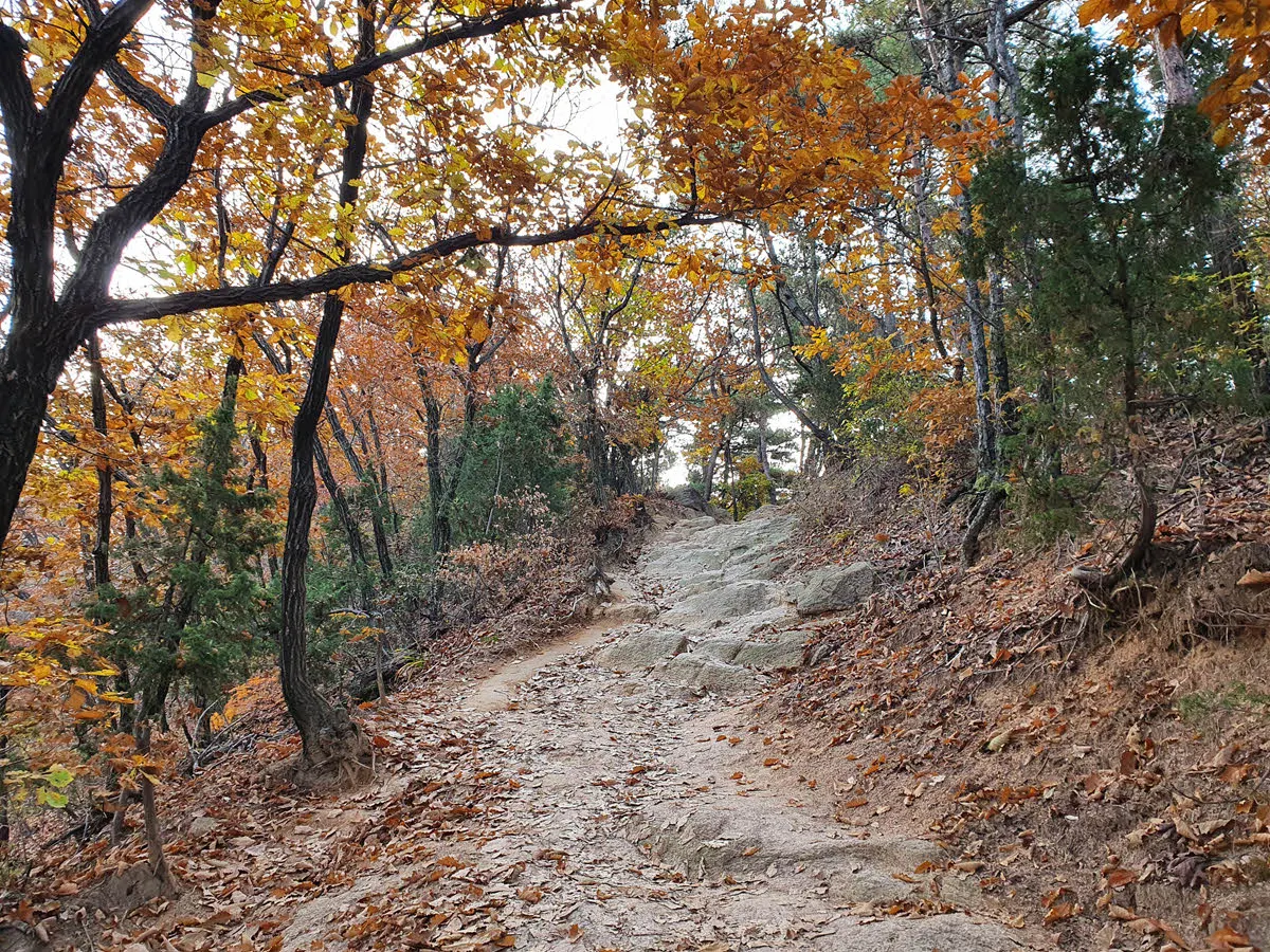 여성봉 가는 길