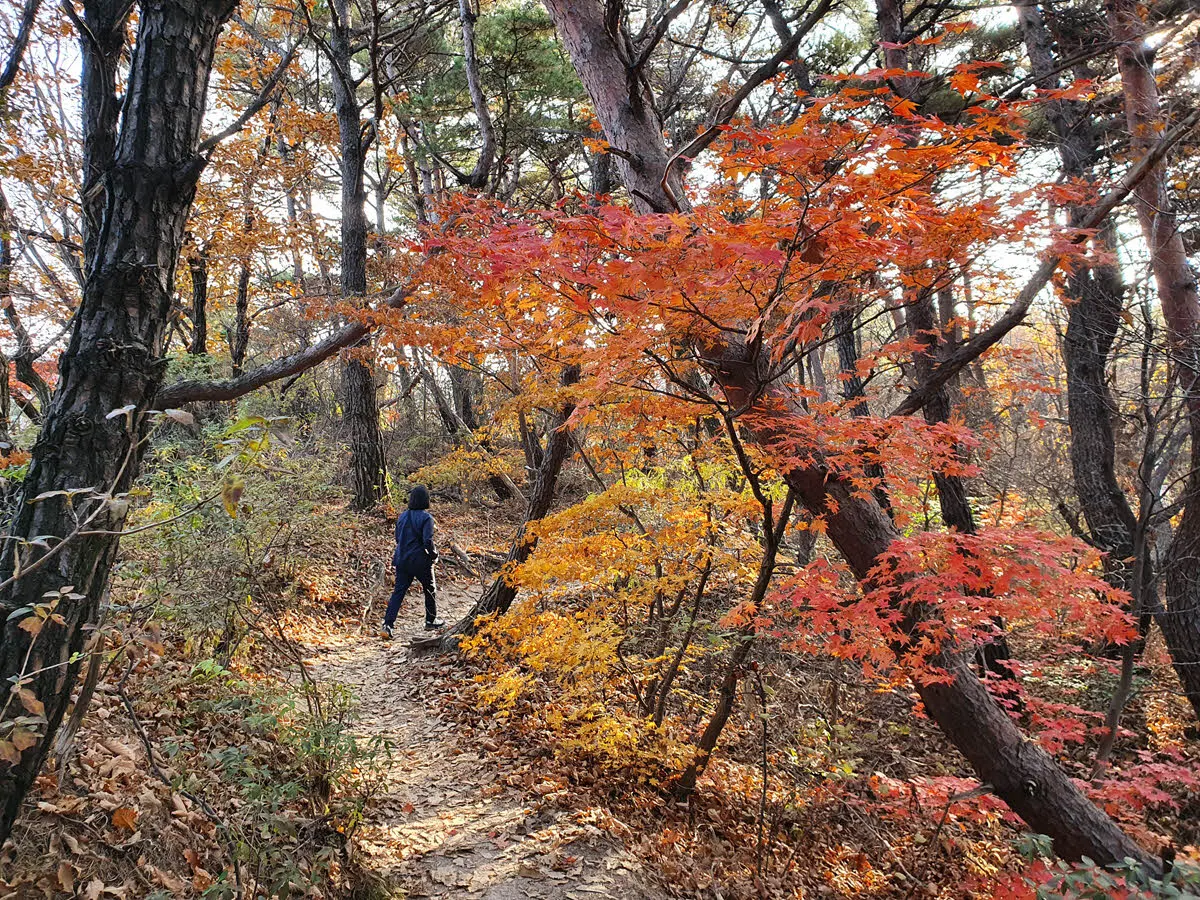 여성봉에서 오봉 가는 능선길
