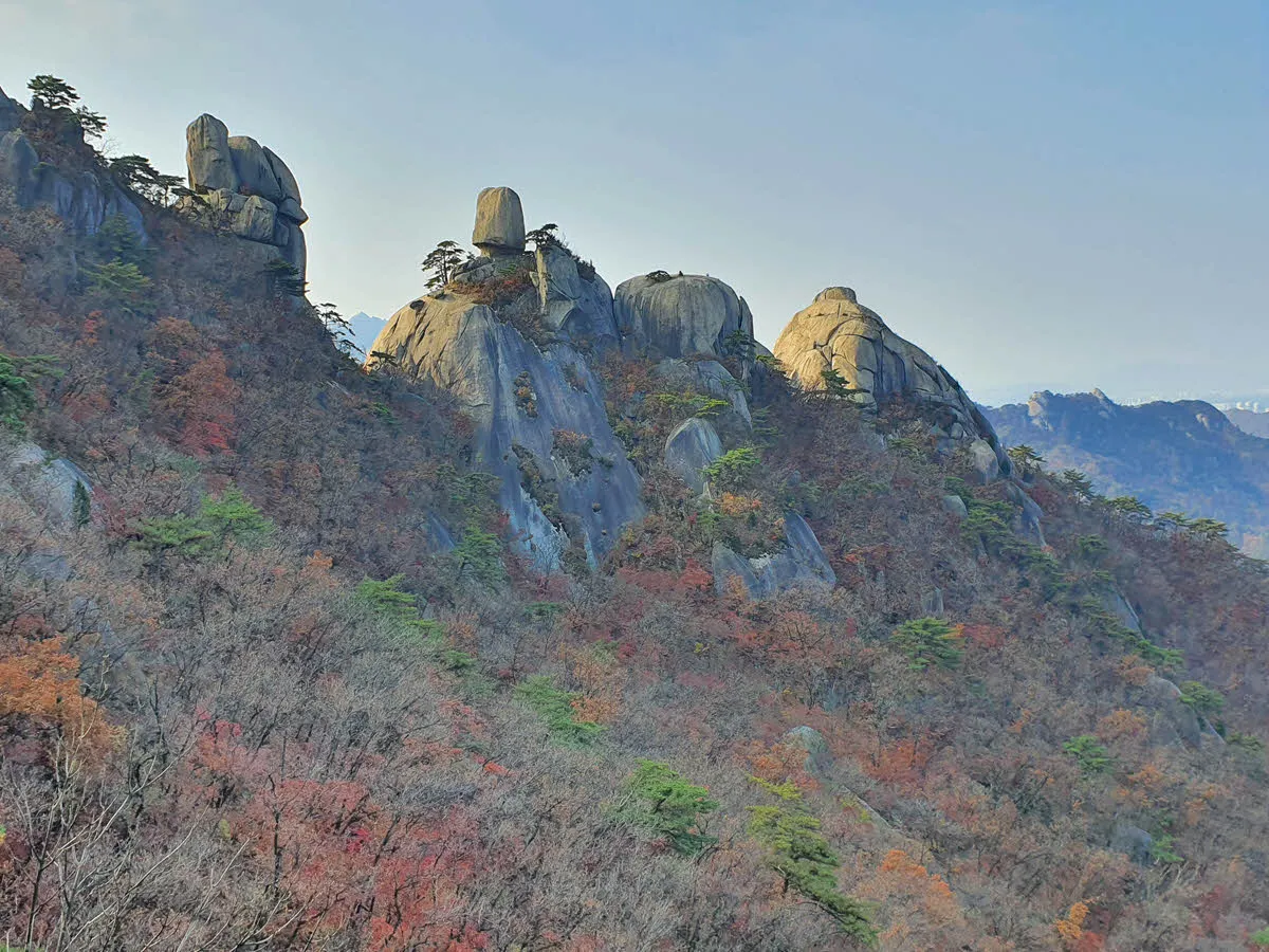 단풍으로 물든 오봉 중 네개의 봉