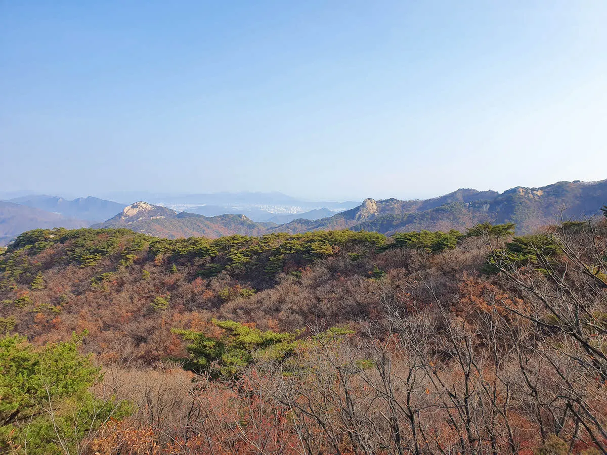 단풍과 초록이 함께 보이는 풍경