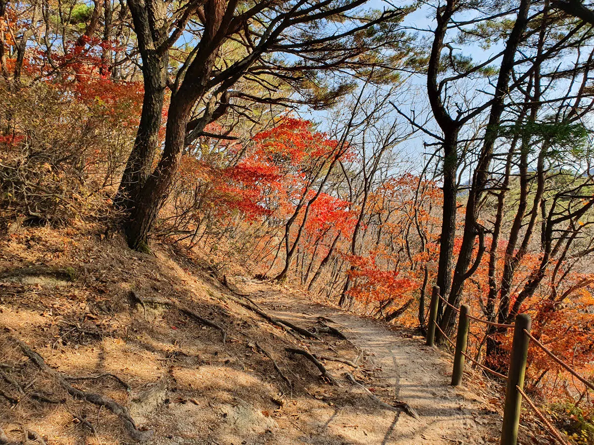 오봉에서 자운봉 가는 길