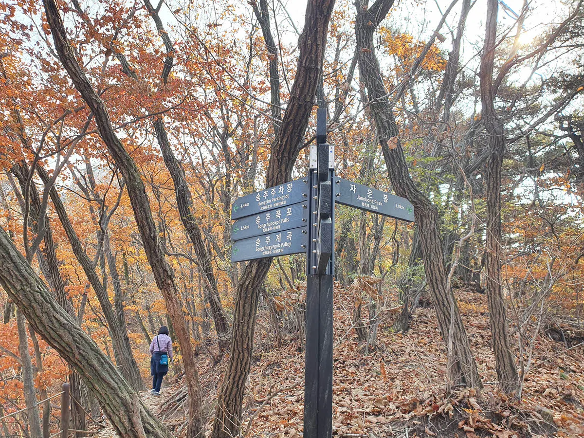 오봉 능선의 삼거리