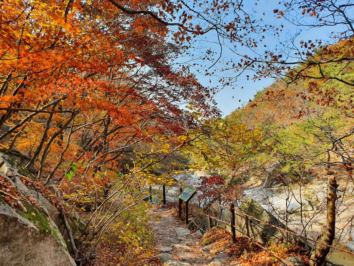 송추계곡 초입의 단풍