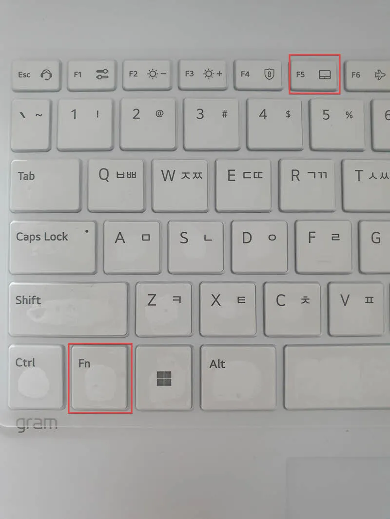LG 그램의 터치패드 On / Off