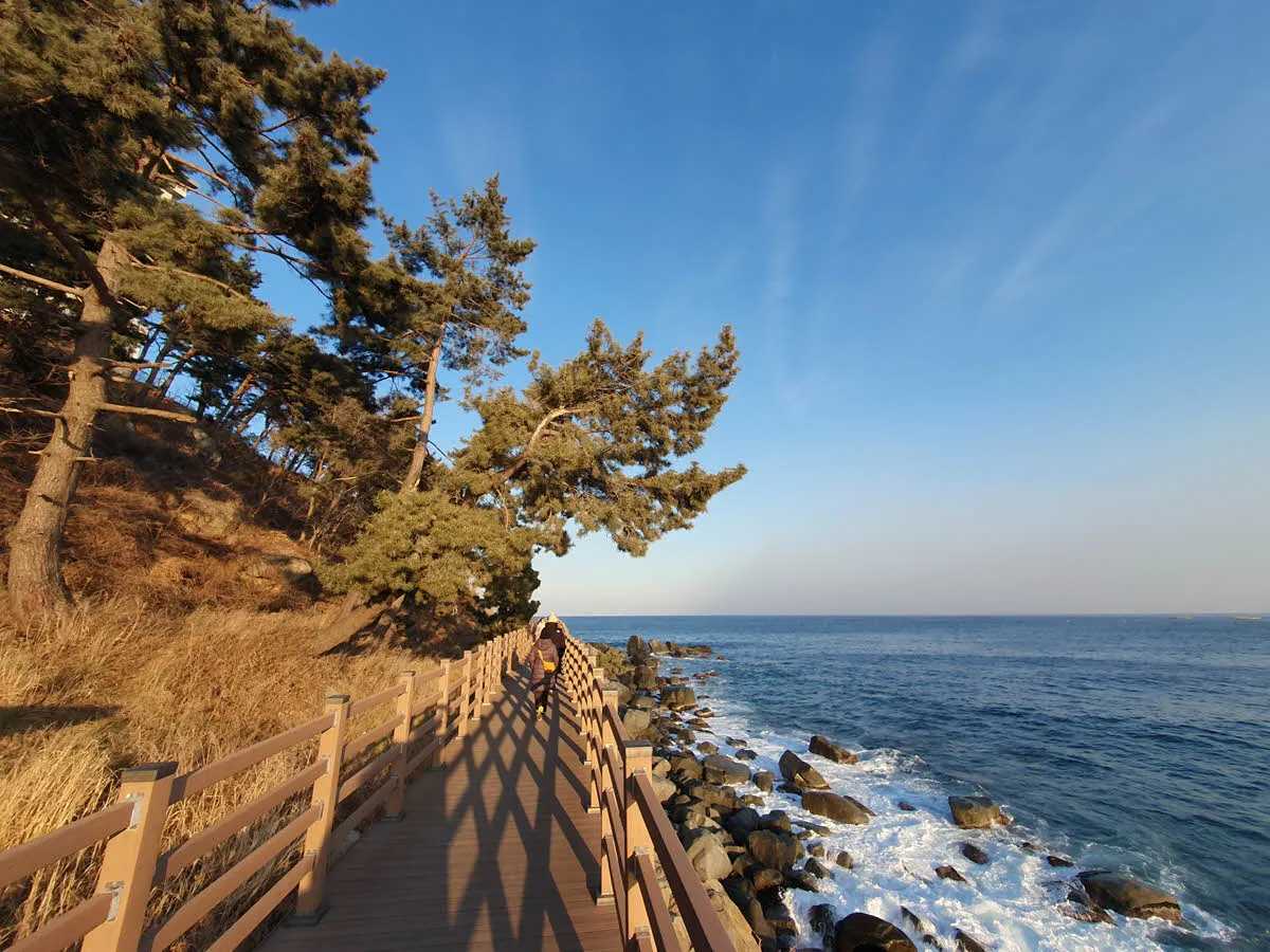 외옹치 바다향기로 데크길